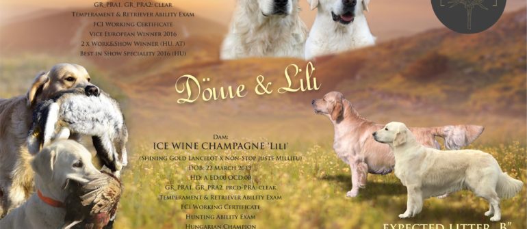 ♥️ DÖME & LILI ♥️