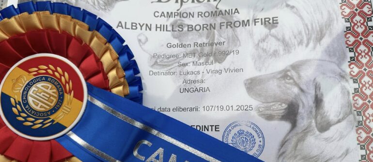 Casper ROMÁN CHAMPION 🏆